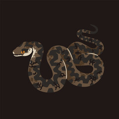European adder. Patterned vipera berus. Dangerous common viper. Venomous snake of forests in Europa. Poisonous woodland brown serpent. Wild cold blooded animal. Flat isolated vector illustration
