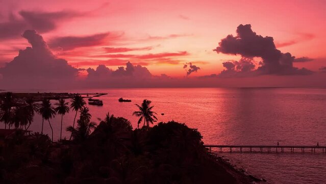 Banner Summer with colorful theme  in sunset scene as palm trees  as texture frame background