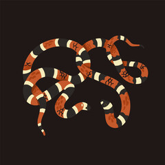 Scarlet kingsnake with striped scale. Milk snake with ornamented skin. Venomous coral viper, American cobra. Exotic serpent, cold blooded animal. Tropical fauna. Flat isolated vector illustration