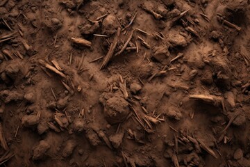 Scattered soil pile on white background, top view.