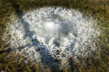 Eisformationen auf einer Wiese	

