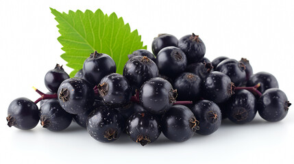 View of Delicious fresh Fruit Elderberry on a white background