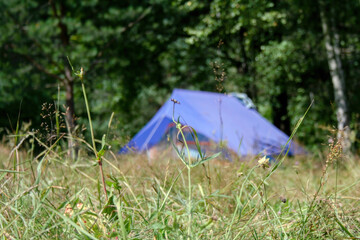 A blurry silhouette of a blue tent on a camping trip. Focus on the foreground. Clear summer day