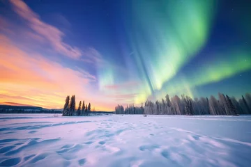 Poster Noorderlicht spectacular multicolored aurora display across a snowy landscape