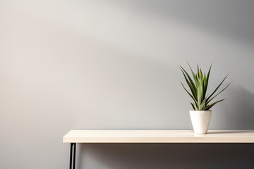 Green plant in pot on table near blank wall background. Front view. Place for your text