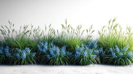 Decorative green grass and blue flowers on a white background.