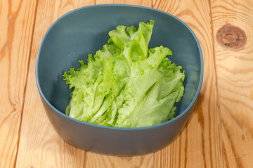 Washed lettuce leaves in plastic kitchen bowl on rustic table