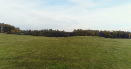 Obraz premium Flying Over Forest. Forest from Above