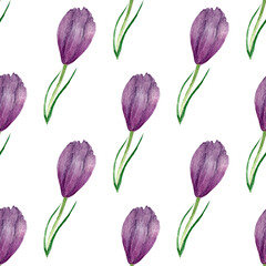 Watercolor spring pattern with crocus flowers on white background. Pattern for various products, spring holidays etc.