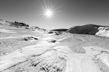 Fototapeta premium Beautiful winter landscape with snow and sun. Black and white. The Giant mountains.