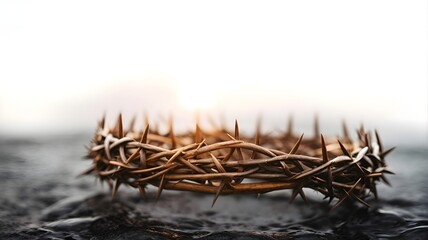good friday covcept - closup of the crown of thorns of Jesus with white background - obrazy, fototapety, plakaty