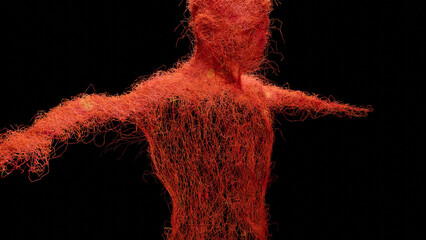 Human arterial and venous circulatory system, Medically accurate animation of Vains and arteries growth, blood vessels, Red capillaries network, 3d render - obrazy, fototapety, plakaty