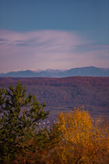 Picturesque autumn landscape with mountains in the background. Vast multicolored forest in sunny weather