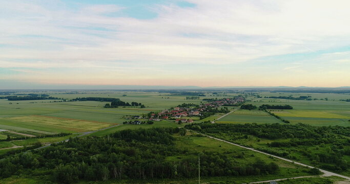 Aerial view of Forest
