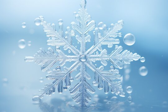 Indulge in the captivating beauty of a collection of macro images that unveil the enchantment of real snowflakes