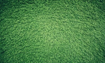 Green grass floor background . Top view green grass background of garden bright grass concept used for making green backdrop . Green grass floor for perfect Golf or football field background