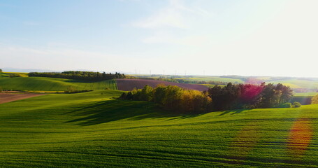 Fields with various types of agriculture 4K