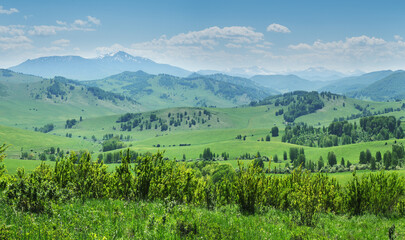Fototapeta na wymiar View of mountains in spring, greenery of forests and meadows