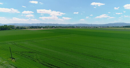 Fototapeta premium wide agricultural field aerial view