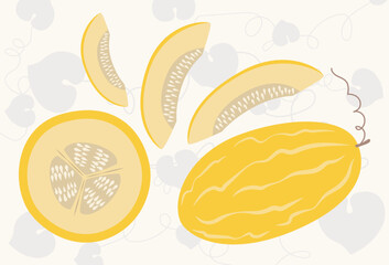 Melon flat design vector illustration. Icon set of melon in simple cartoon style.
