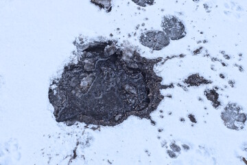 frozen puddle with black broken ice in white snow on a winter street