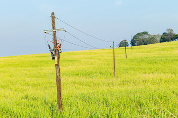 Farm Electrical Poles Cables Hill Trees Crops Landscape - 720225682