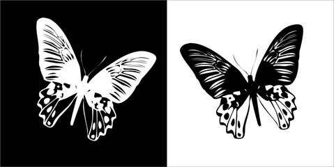 Illustration vector graphics of butterfly icon