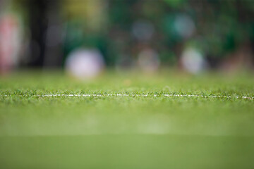 Close up of green grass texture for course or sport background.