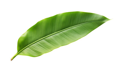 Obraz premium Asphalt road,isolated on transparent and white background.PNG image.