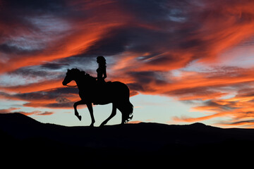 Silhouette of horse with rider running through landscape at sunset. Nature with robins.