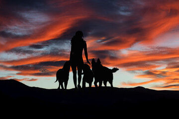 Silhouette of a woman walking with dogs in the landscape at sunset. Nature with robins.