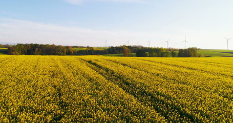 Energy - Wind turbines against agricultural field.