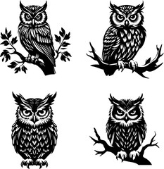 owl silhouette, owl png, owl svg, bird png, bird svg, owl vector, bird vector, animal, cartoon, owl, set, vector, bird, icon, cat, illustration, dog, cute, baby, funny, head, fun, bear, character, pan