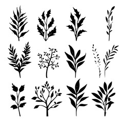  pattern, flower, floral, seamless, vector, leaf, design, decoration, ornament, illustration, wallpaper, art, plant, nature, vintage, damask, black, branch, decor, element, silhouette, swirl, flowers,