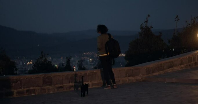 Girl looking at night city view with a cat