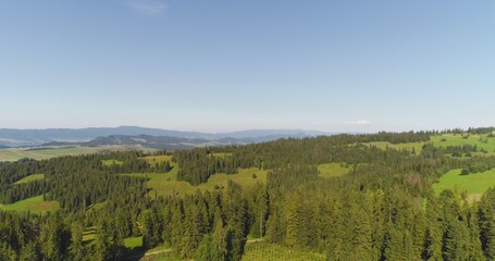 Fototapeta na wymiar Flying over the beautiful forest trees. Landscape panorama.