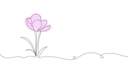 saffron flower line art. Hand drawing. For background, card, invitation, print and other design