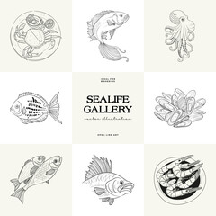 Ocean and Sea, Botanica illustration. Black ink, line, doodle style.