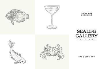 Ocean and Sea, Botanica illustration. Black ink, line, doodle style.