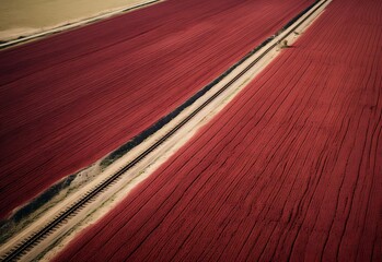Path of Crimson: Journeying Through a Road Lined with Red Plantation, Scarlet Journey: A Road Meandering Through a Vibrant Red Plantation, Rouge Trails: Discovering the Beauty of a Road Through Red Fo