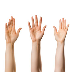 Set of female hands in different poses on a Transparent Background