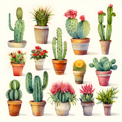 A variety of cactus illustrations on a white background 