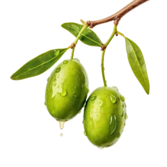 Fototapeten Olive branch with ripe and delicious olives, cut out © Yeti Studio