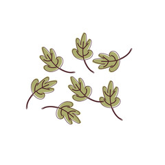 Seven Green Leafy Branches in Nature's Design. Green leaf on white background.