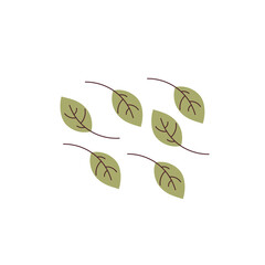 Tea Leaves Isolated on White Background with Green Leaf Vector Illustration.