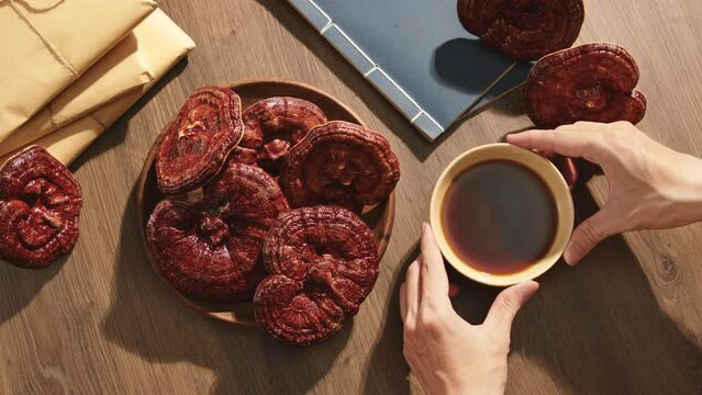 Ganoderma mushrooms are displayed along with medicinal herbs wrapped in kraft paper and notebooks on a wooden table. One person placed a bowl of Chinese medicine in the empty space.