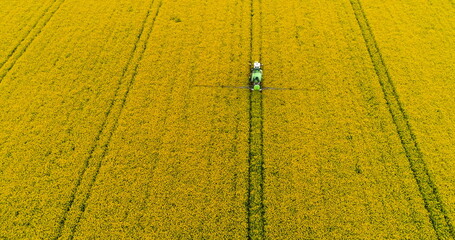 Tractor spraying oilseed rape field. Agriculture background. Aerial view.