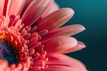 wallpaper of minimalistic macro of a part of a flower with background, fineart
