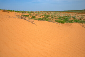 Fototapeta na wymiar Semi-desert. Republic of Kalmykia, Russia