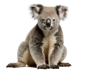 Zelfklevend Fotobehang close up of a koala bear cut of background © thewet